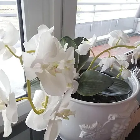 Lejlighed App-syltliebe-wohnung-6-1-etage Vesterland