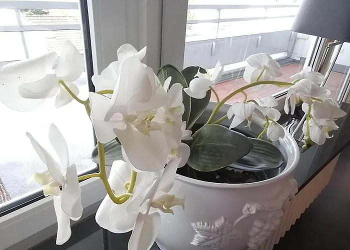 Appartement App-syltliebe-wohnung-6-1-etage Westerland